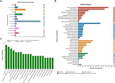 Metabolomics reveals altered metabolites in cirrhotic patients with severe portal hypertension in Tibetan population